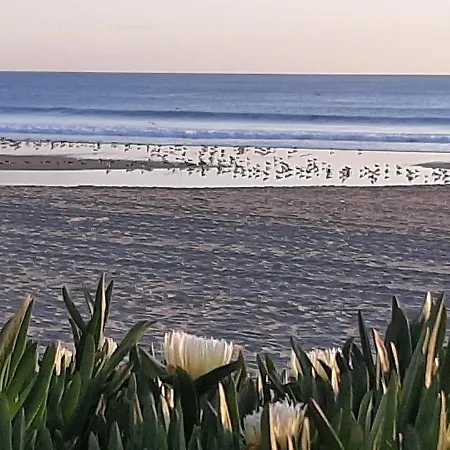 Av. 1º De Maio Costa da Caparica