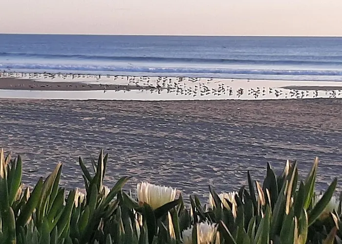 Av. 1º De Maio Costa de Caparica